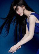 上海多家国企采购特斯拉Mode